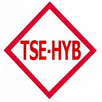 TSE Hizmet Yeterlilik Belgesi görseli